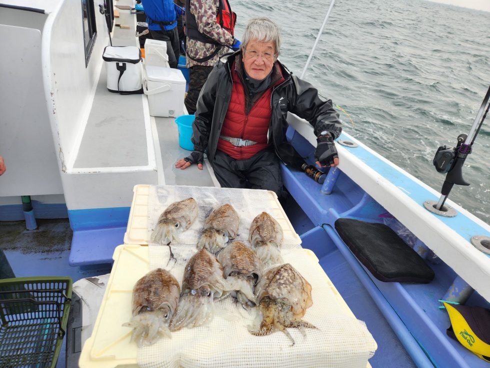 コウイカ大チャンス！