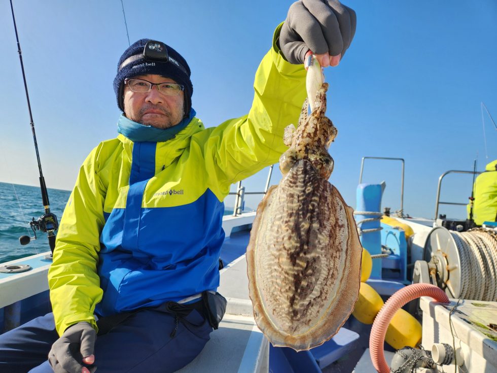 コウイカ大チャンス！是非！