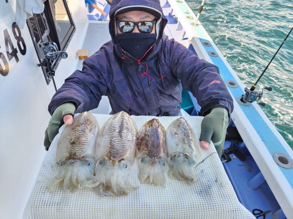 人気のコウイカ！