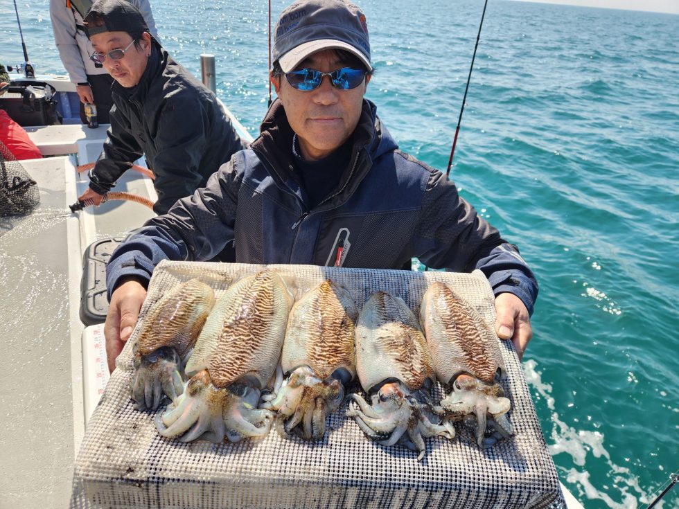 大型サイズばかり！