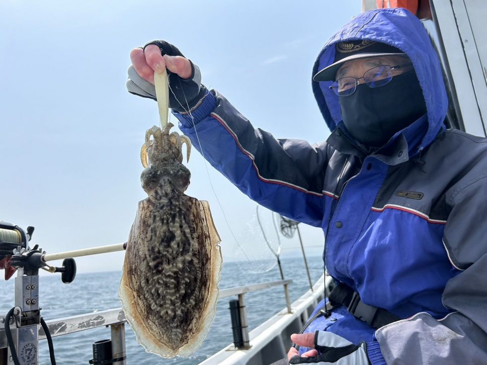コウイカ釣り、イサキ釣り、予約受付中!
