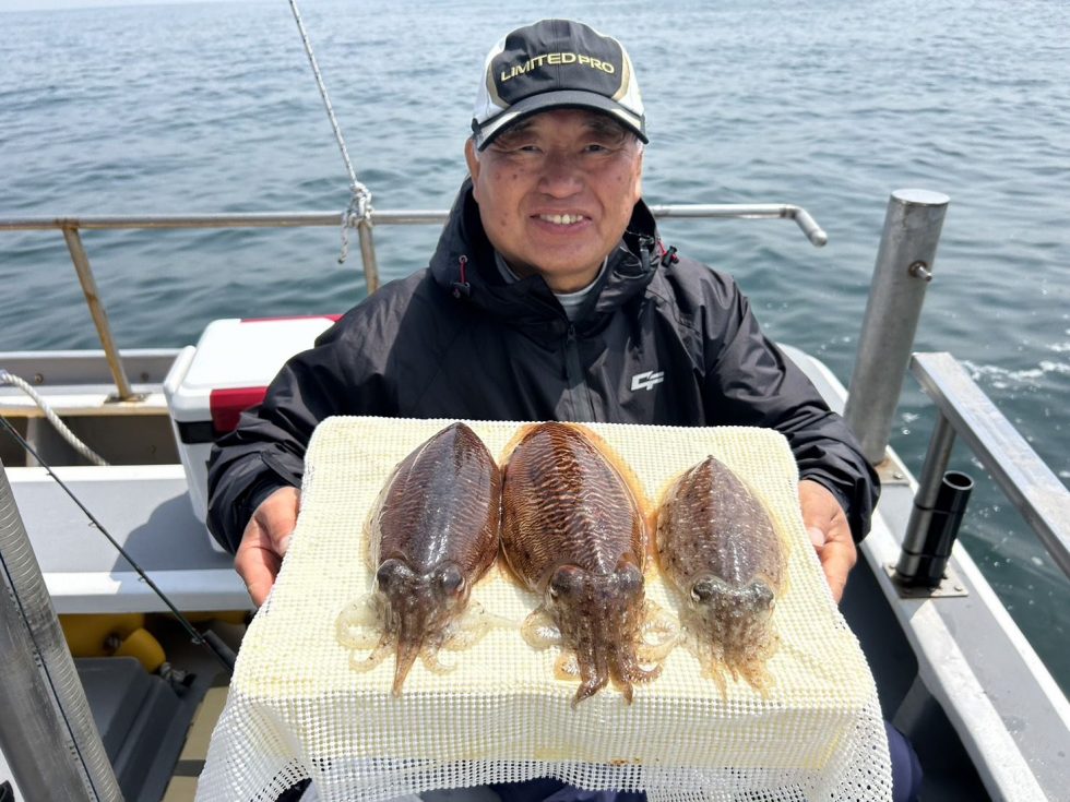 明日のコウイカ釣り空き多数!朝の飛び入りOK