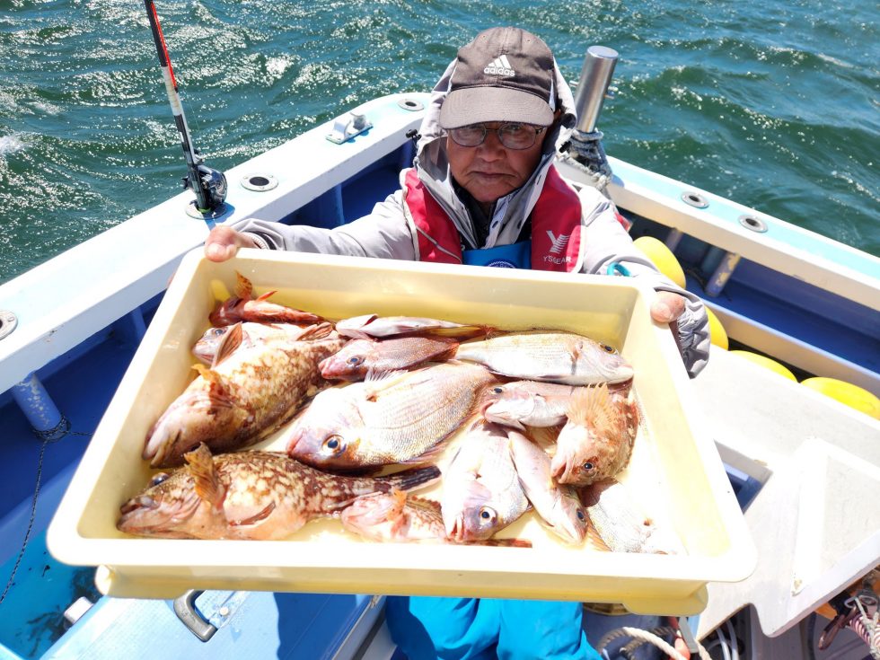 ウタセ五目釣り!小鯛中心に釣りまくり!