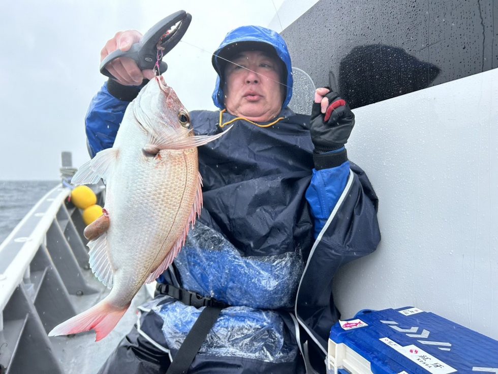 名人さんはマダイ釣りまくり!