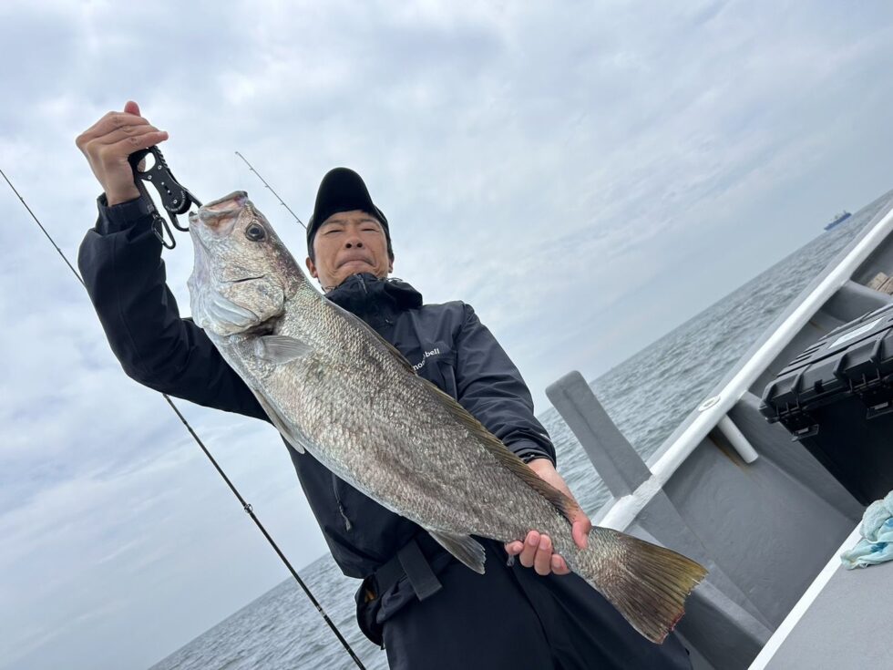 大ニベだぁ!