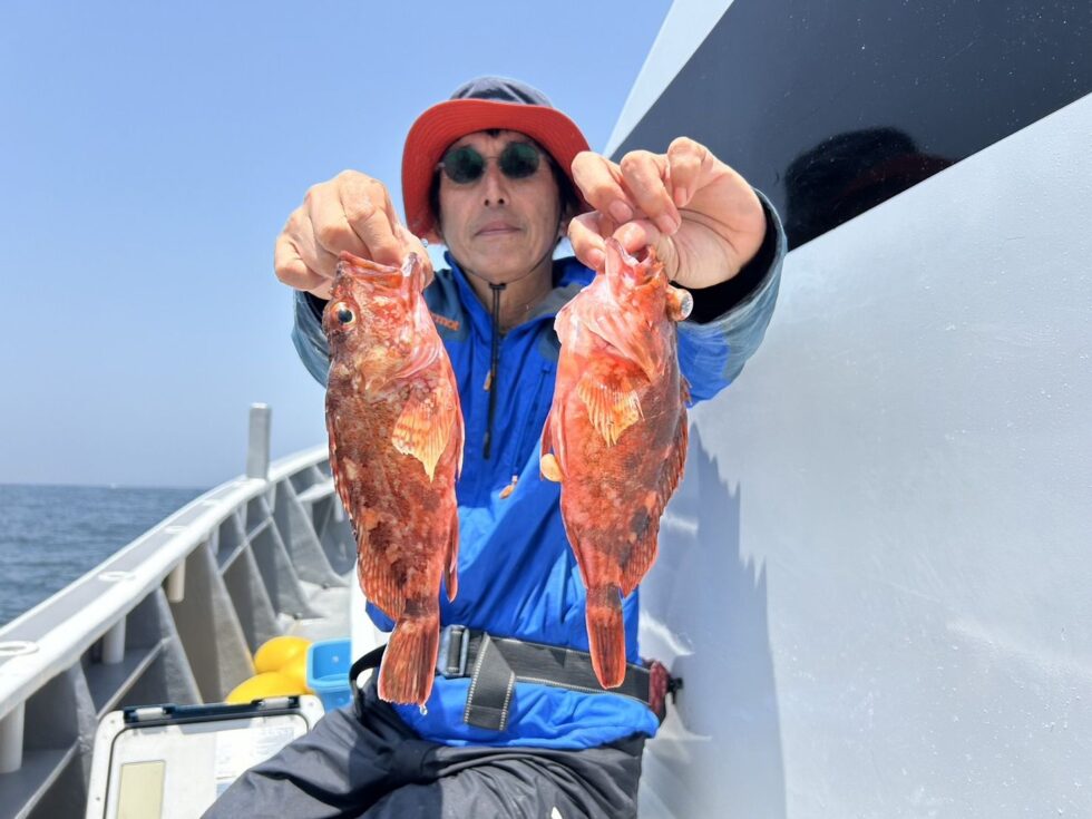 明日(水)イサキ釣り、一つテンヤ、出船確定