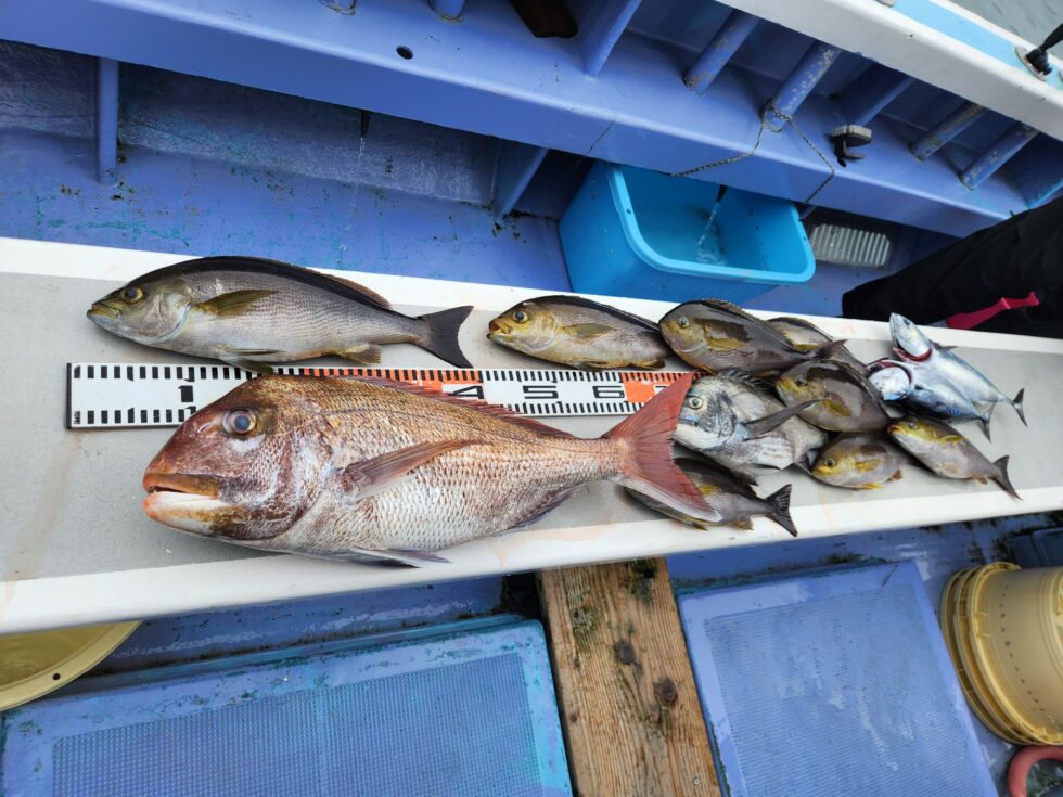 大山沖イサキ釣り、一つテンヤ真鯛、出船中!