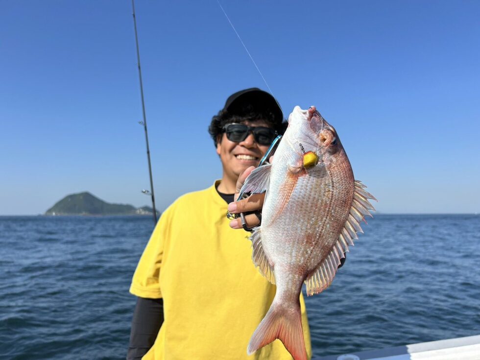 ハヤブサさん、今日も絶好調!