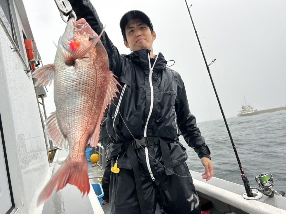 ダイワグローブライドさんマダイ釣りまくり!