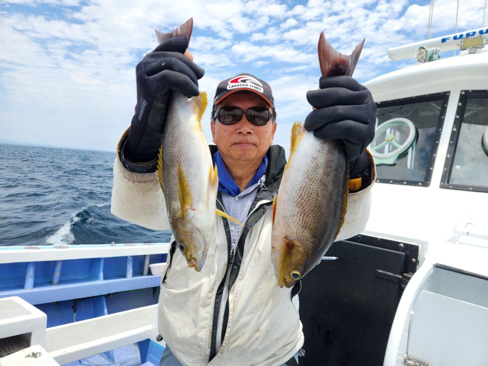 大山沖、脂のりのりイサキ大チャンス!