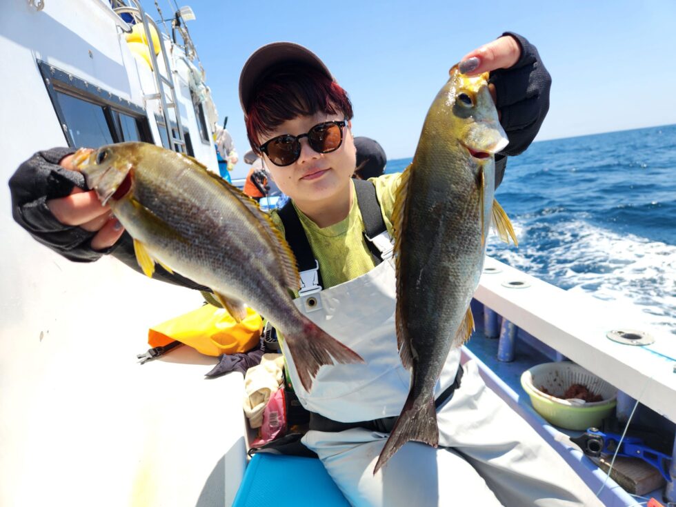 釣具のイシグロさん良型イサキゲットー