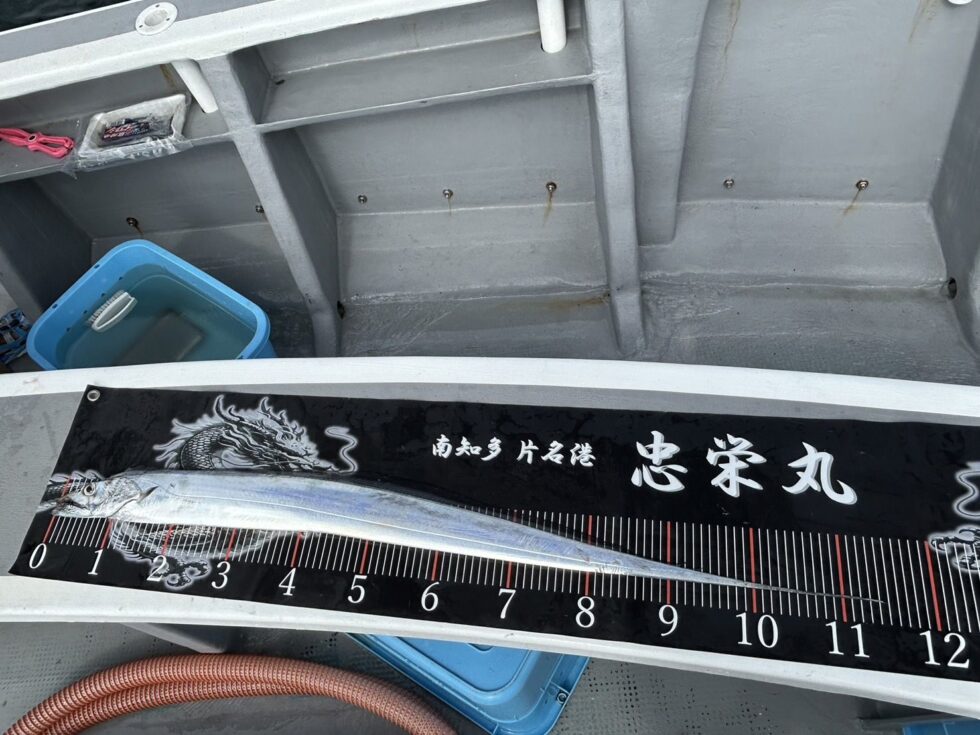 明日(金)もテンタチ出船確定!空き多数