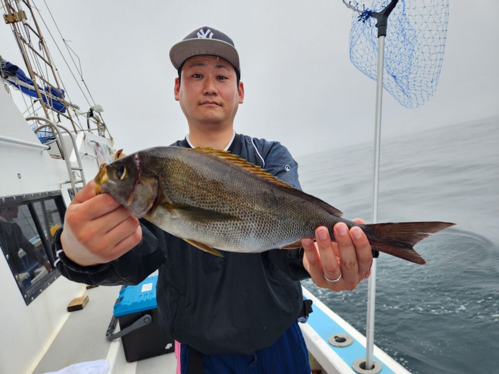特大43㎝!