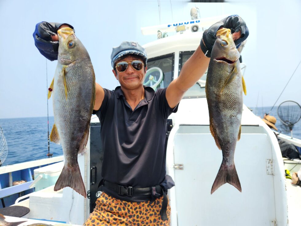 明日(木)テンタチ、イサキ、出船確定です