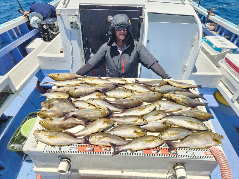 大山沖イサキ出船!ジャンボイサキ入れ食い状態!