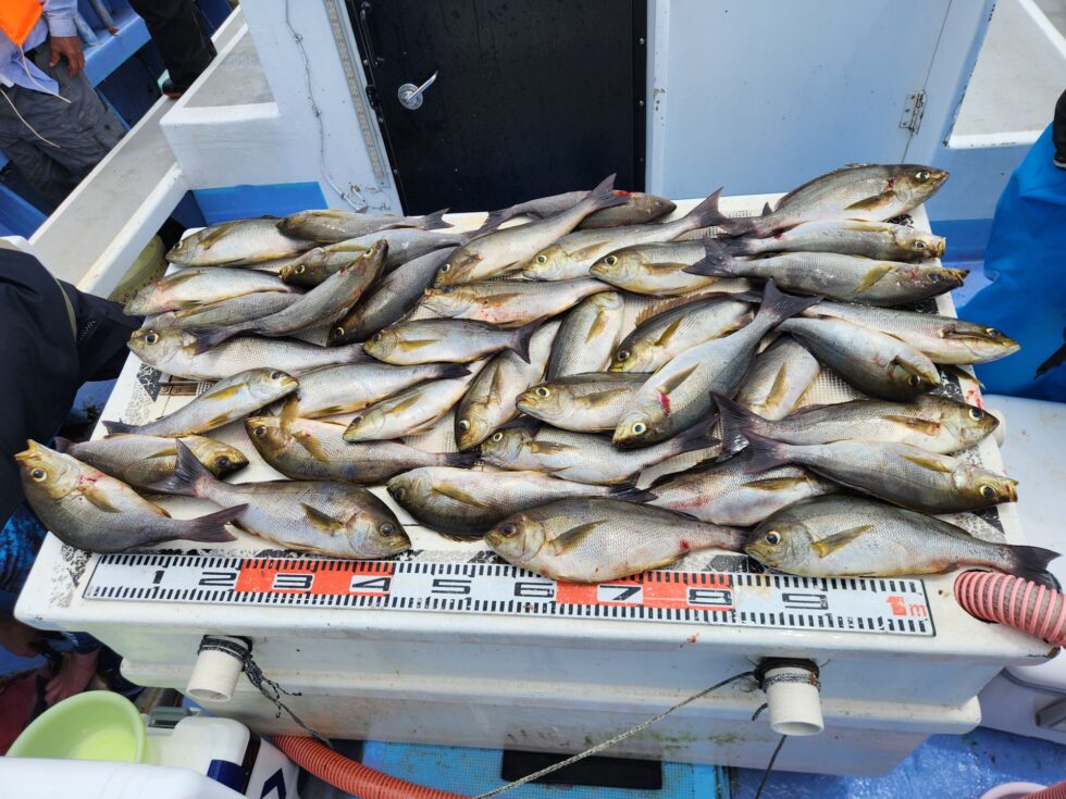 今日も凄い事に!