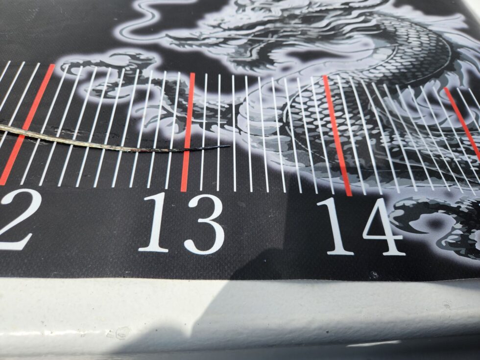 133㎝スーパードラゴン狩り！