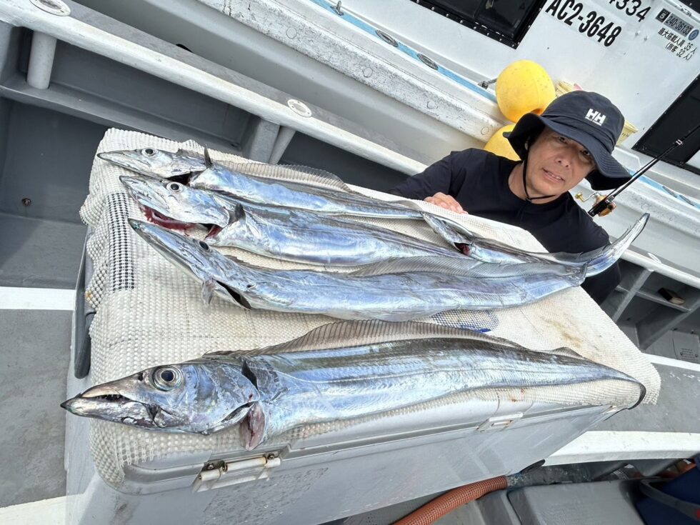 伊良湖水道大型タチウオチャンス!