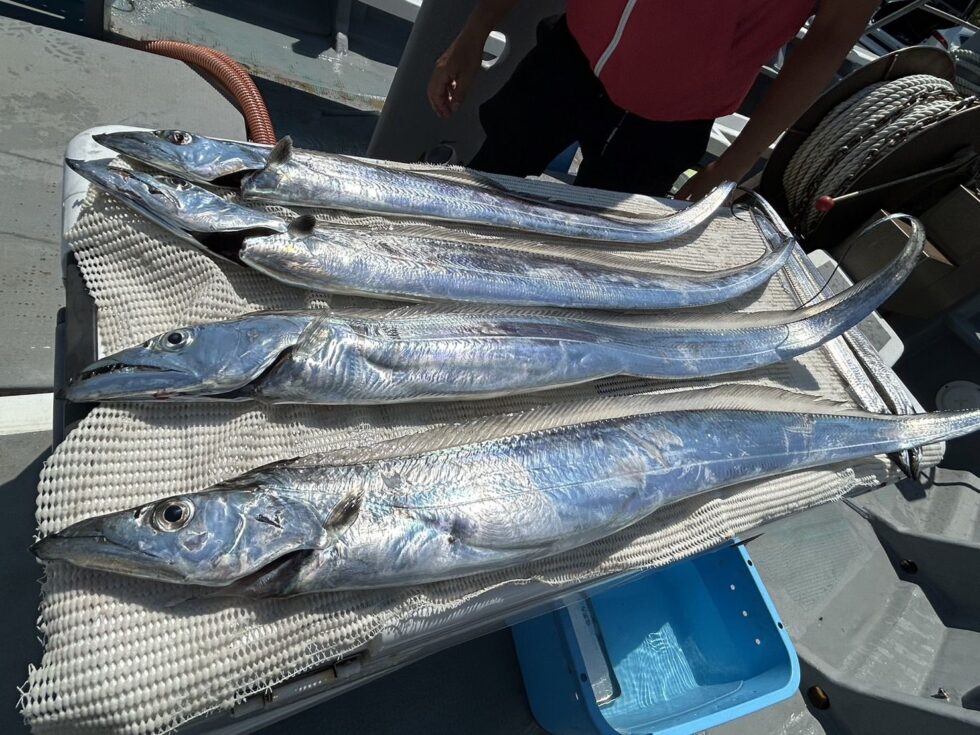 明日(水)かなり空き多数です、是非！