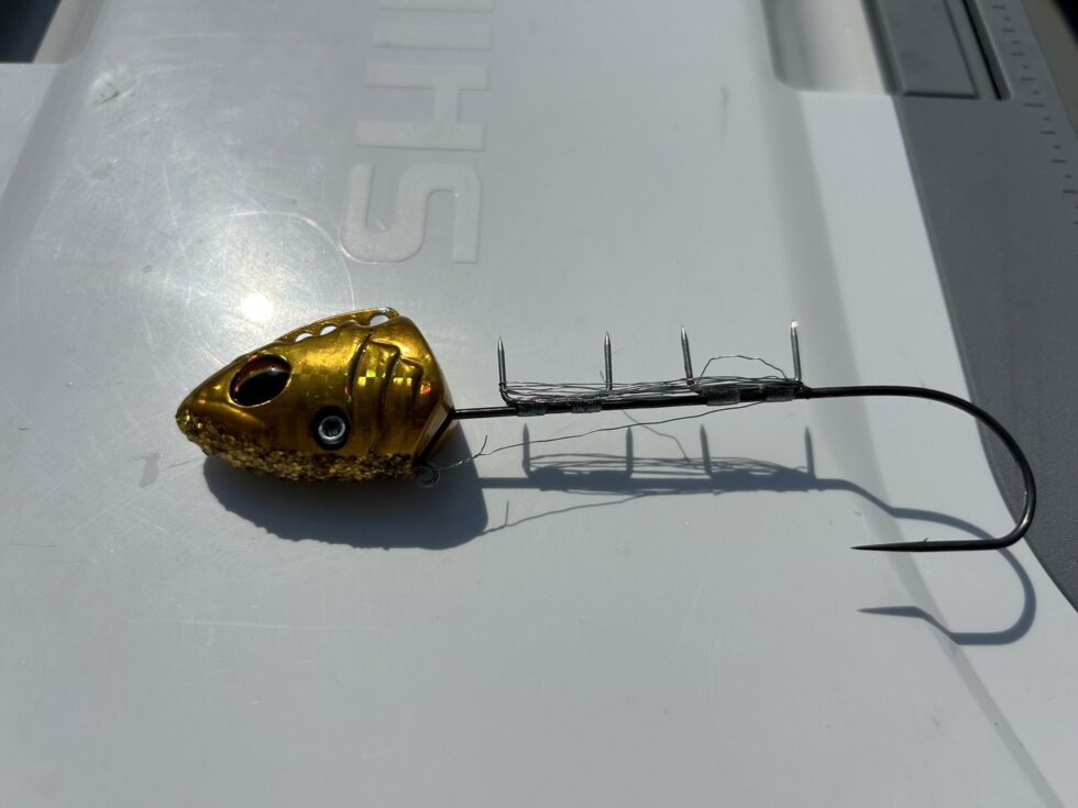 最近の深場での当たりカラー！