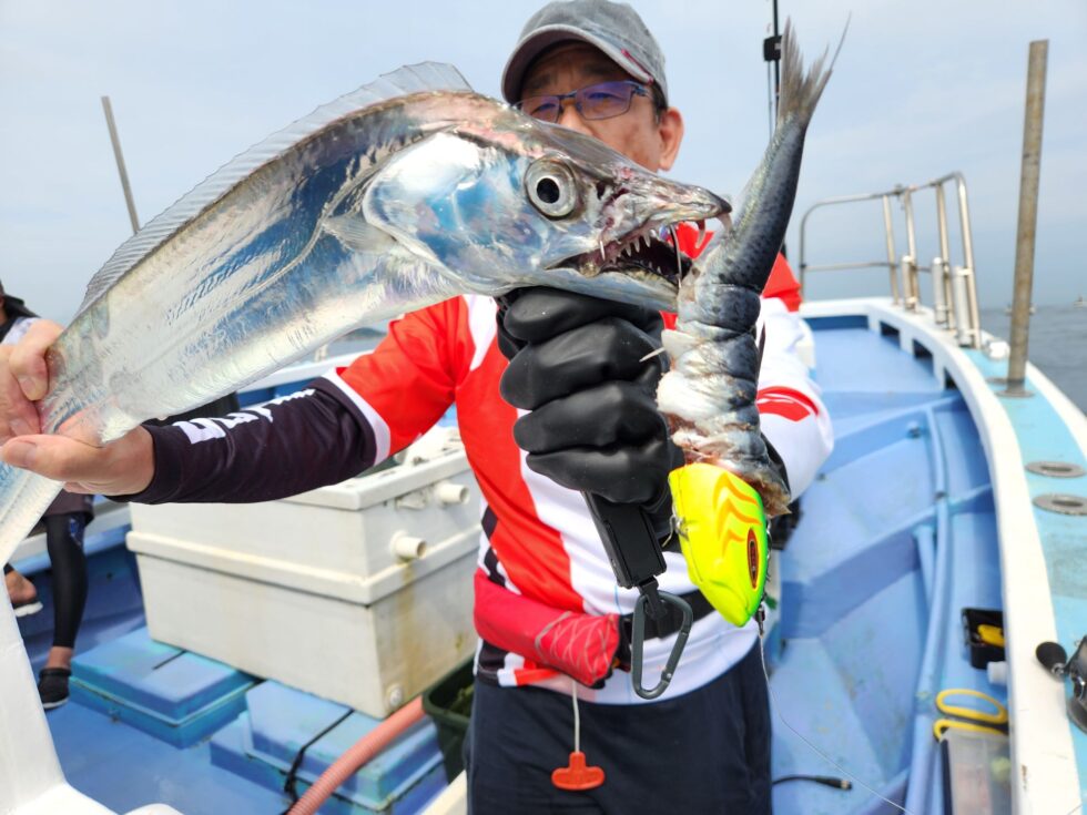明日(日)もお楽しみに!