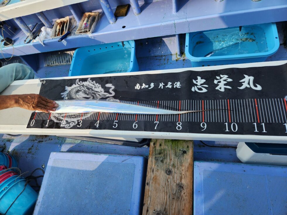 明日(火)2隻分乗します。