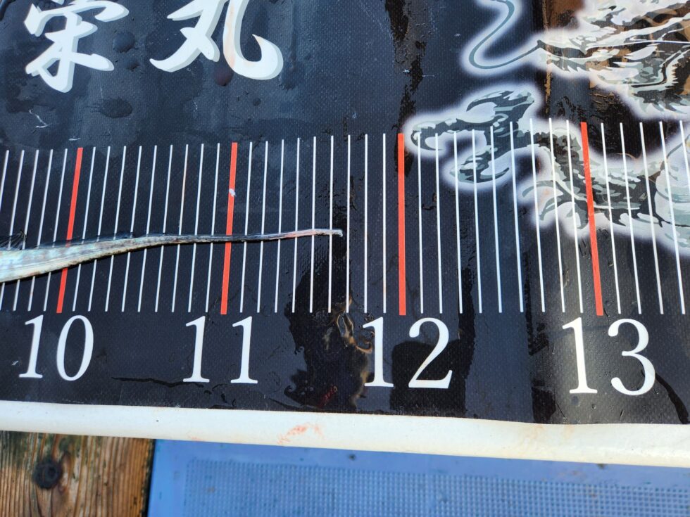 ドラゴンまであと3㎝!