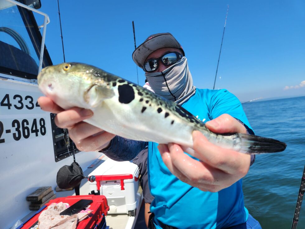 テンヤタチウオ専門出船中!