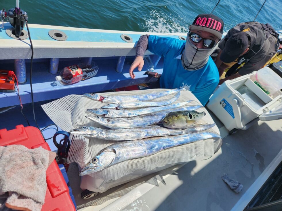 2隻分乗出船です