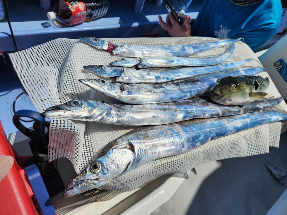 明日(月)テンタチ募集中!