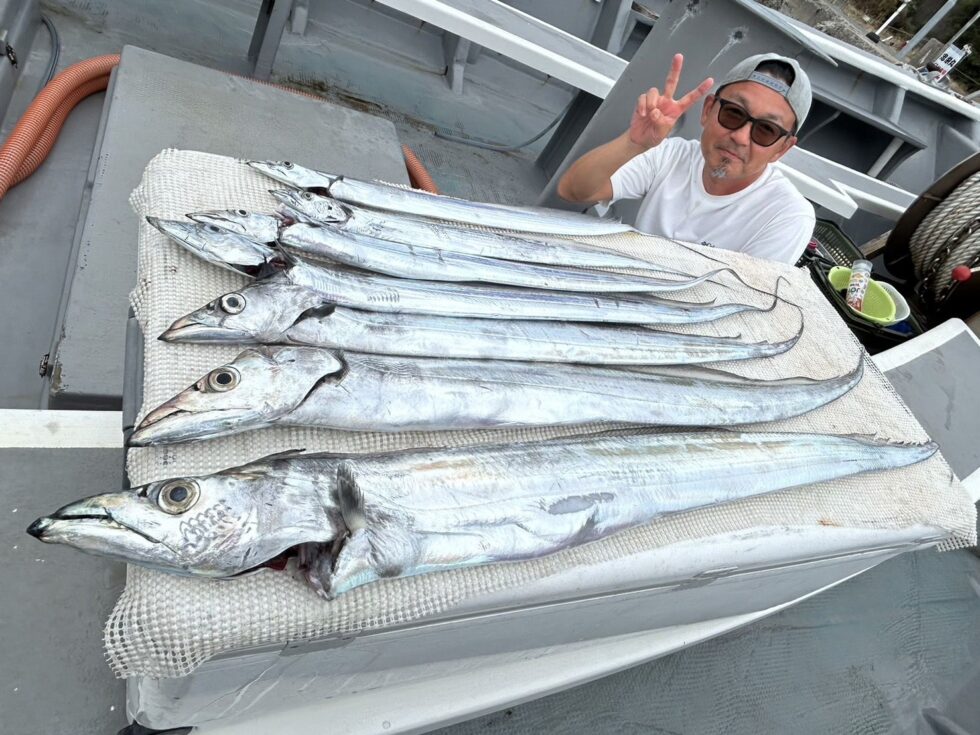 伊良湖水道大型タチウオ絶好調ー!