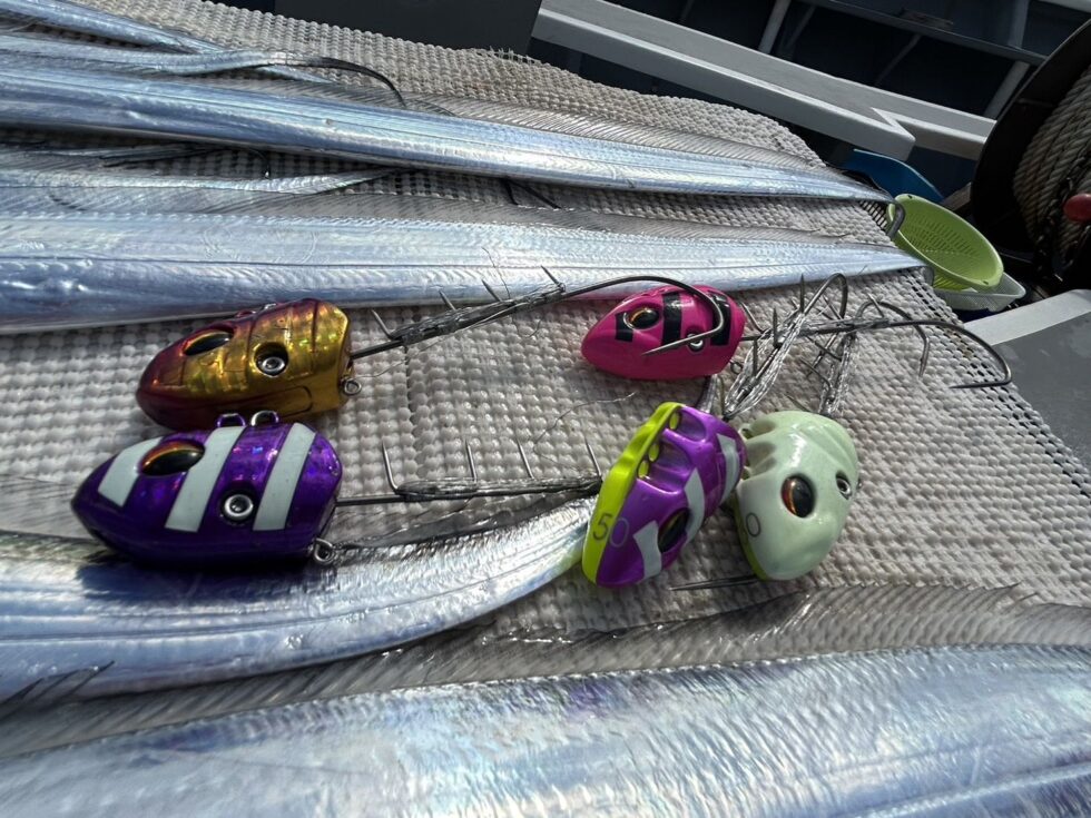 テンヤ専門！テンヤ50号です！