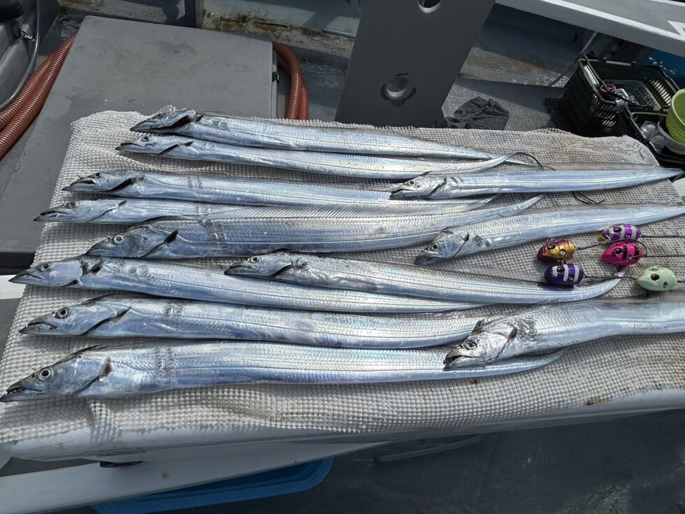 明日(土)午前便、午後便も予約受付中！