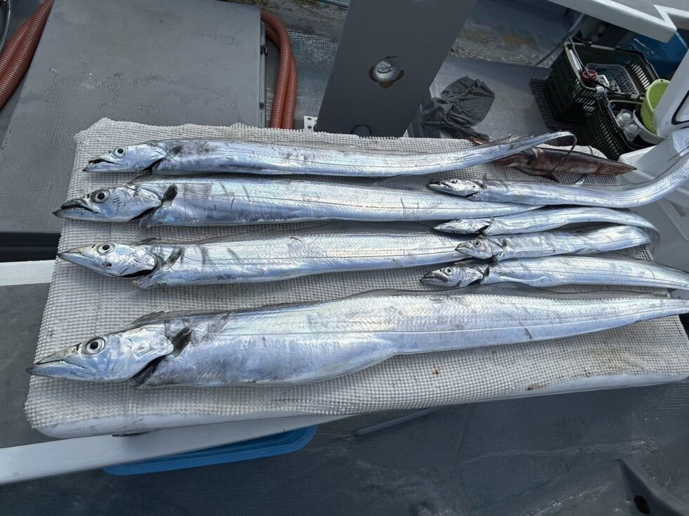 本日(金)15時から17時頃まで電話に出れない時あります、あとでかけ直します。