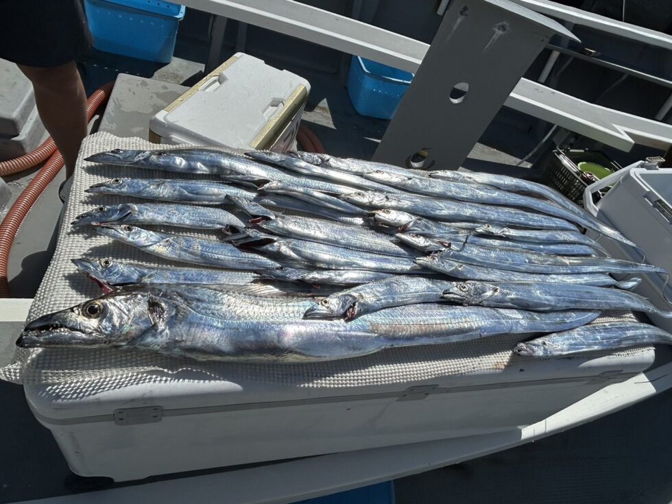 明日(月)朝便、空き多数、人数増えたら2隻分乗です、予約お待ちしてます