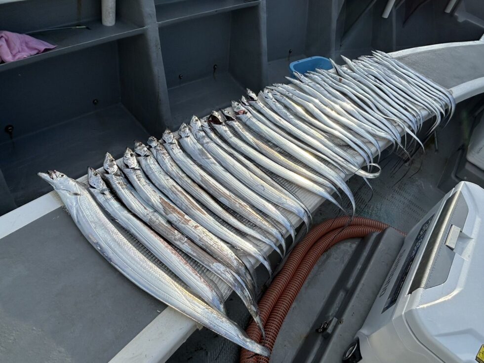 午後ショート便も急げっ!短期出船です!