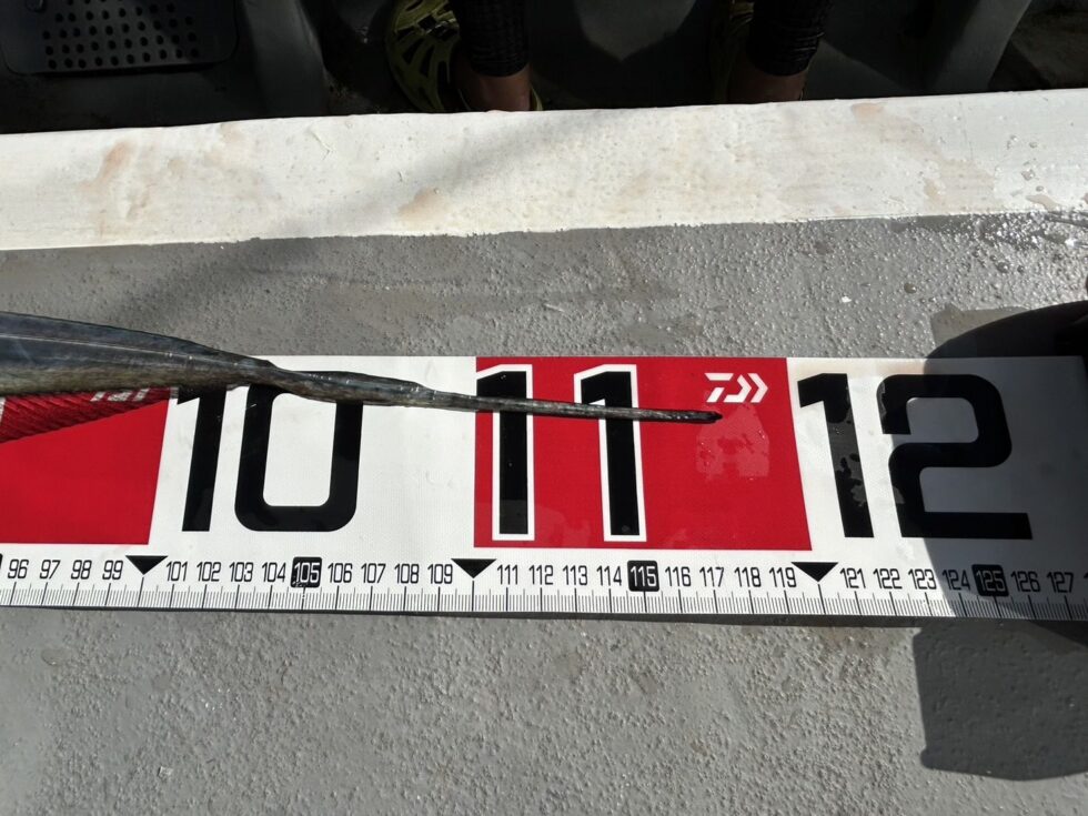 明日(火)朝便テンヤタチウオ、午後ショート便タチウオ、空き多数