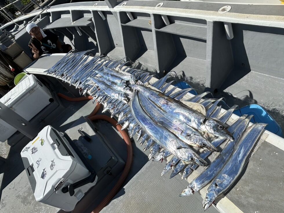 お一人で凄い数！ドラゴン級も釣りあげ素晴らしい釣果！テンヤでこの数は凄いですね