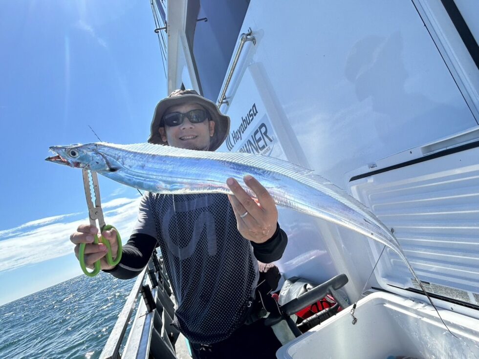 伊良湖水道タチウオが大チャンス到来！