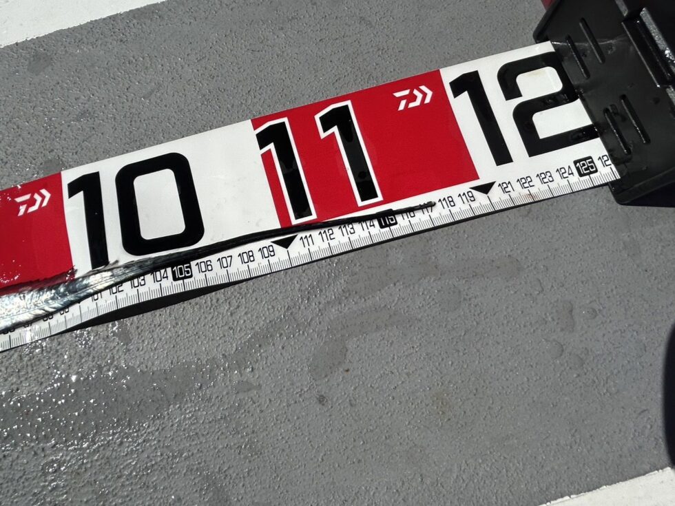 今日も120㎝ドラゴンまであと２㎝でした