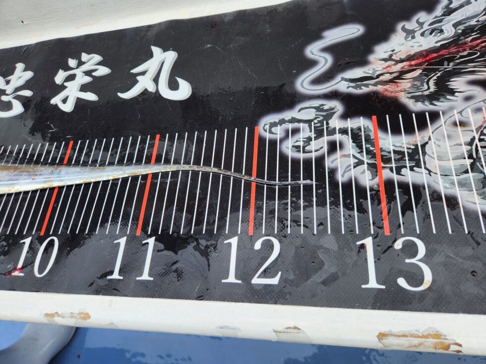 連日のドラゴン狩りです!明日からもお楽しみに!