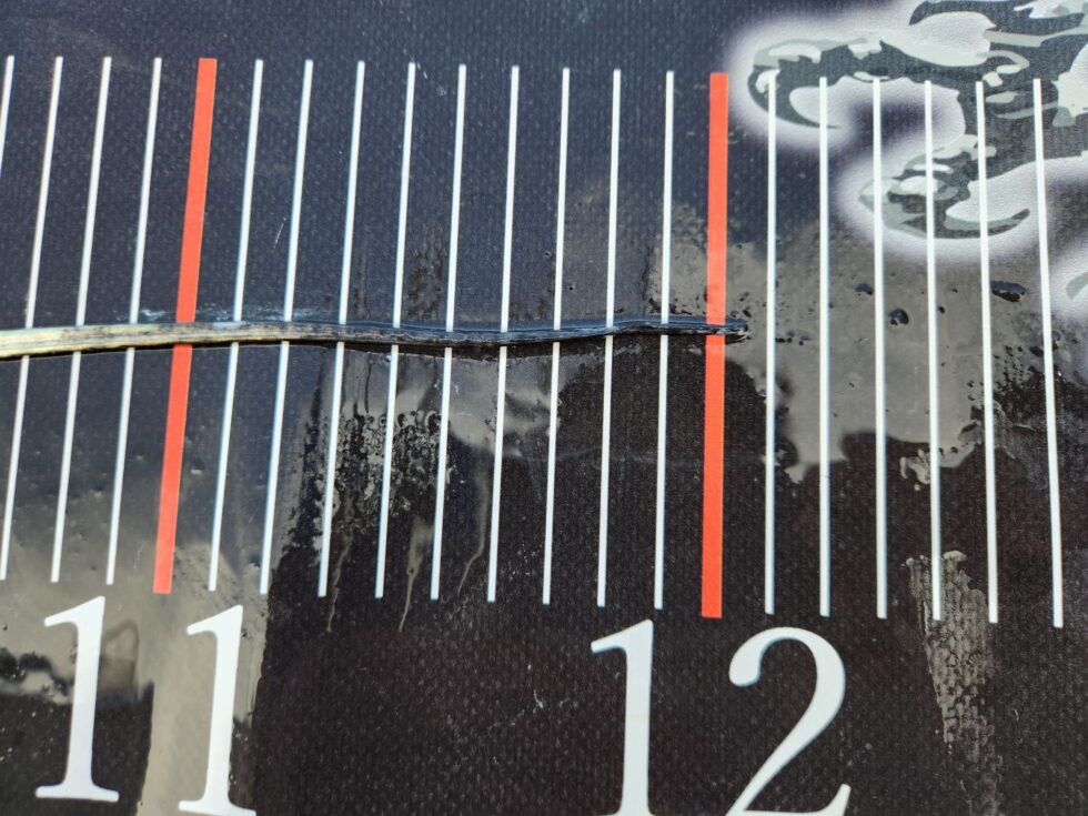 連日ドラゴン登場!