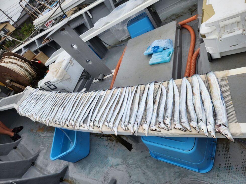 午後ショート便、入れ当たりを堪能してみてはいかがですか？明日(日)も出船します、空き多数