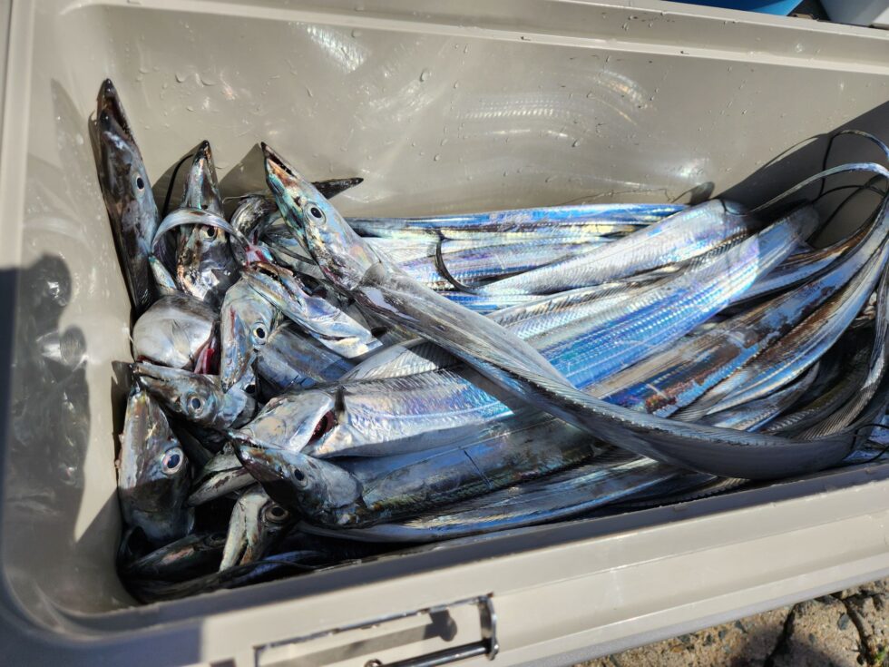 たくさんのおすそわけありがとうございます！