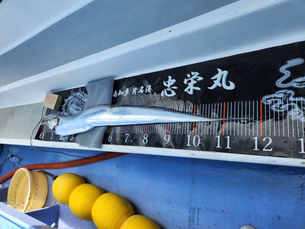 尾切れで118㎝は凄い！一瞬140㎝シェンロンかと思いましたね