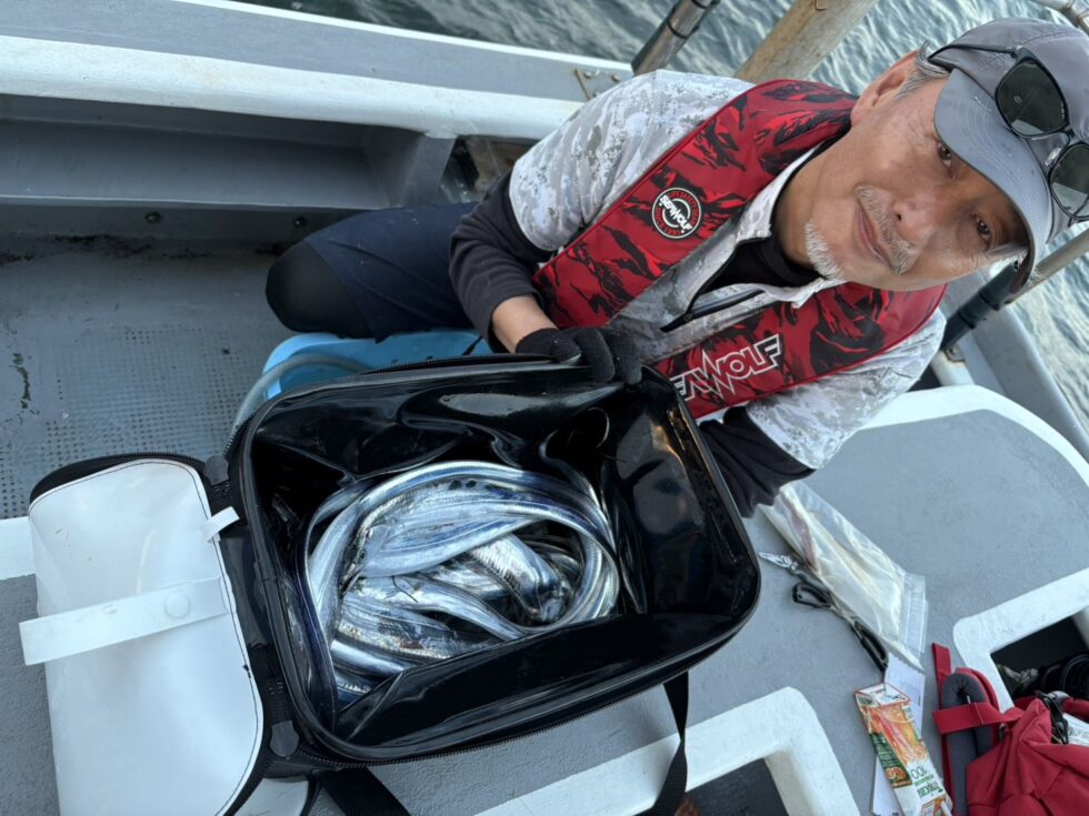 明日(土)も午後ショート便タチウオ出船確定!空き多数