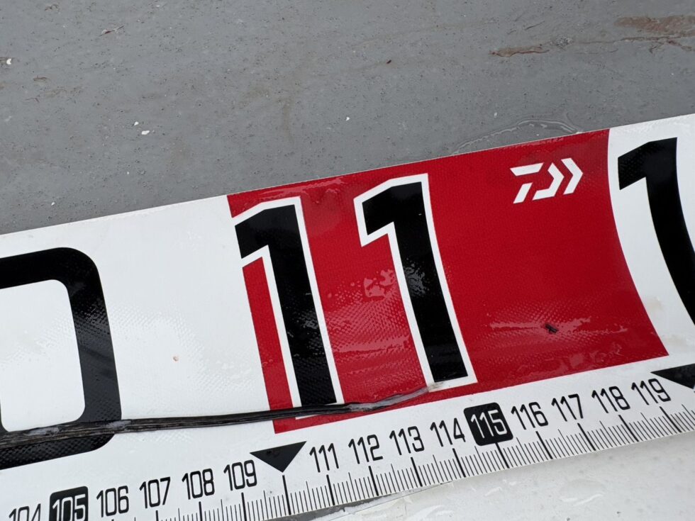 明日(水)テンヤタチウオ船、一つテンヤ真鯛船、出船確定です！