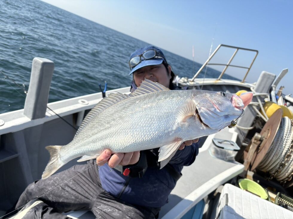 イシグロフィッシングマイスター!