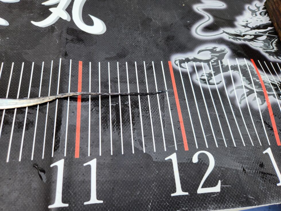 ドラゴン級乱舞!