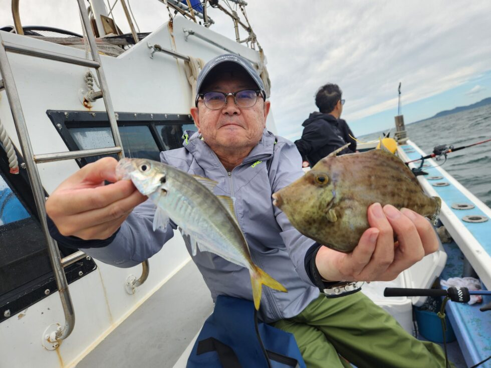 活きウタセエビたっぷり入荷中!